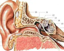 瀵屽＋鏂戒箰s2110椹卞姩